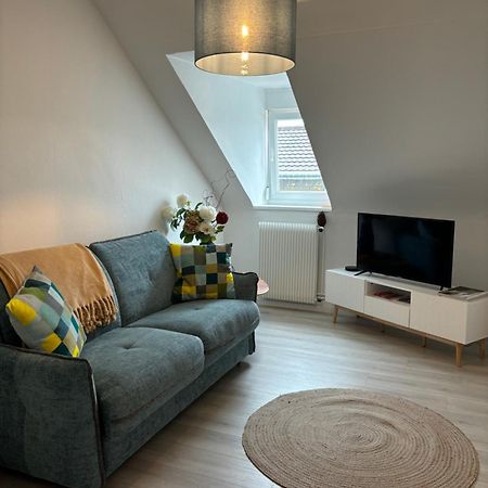 La Mulhousienne F3 Centre Ville Мюлуз Екстериор снимка