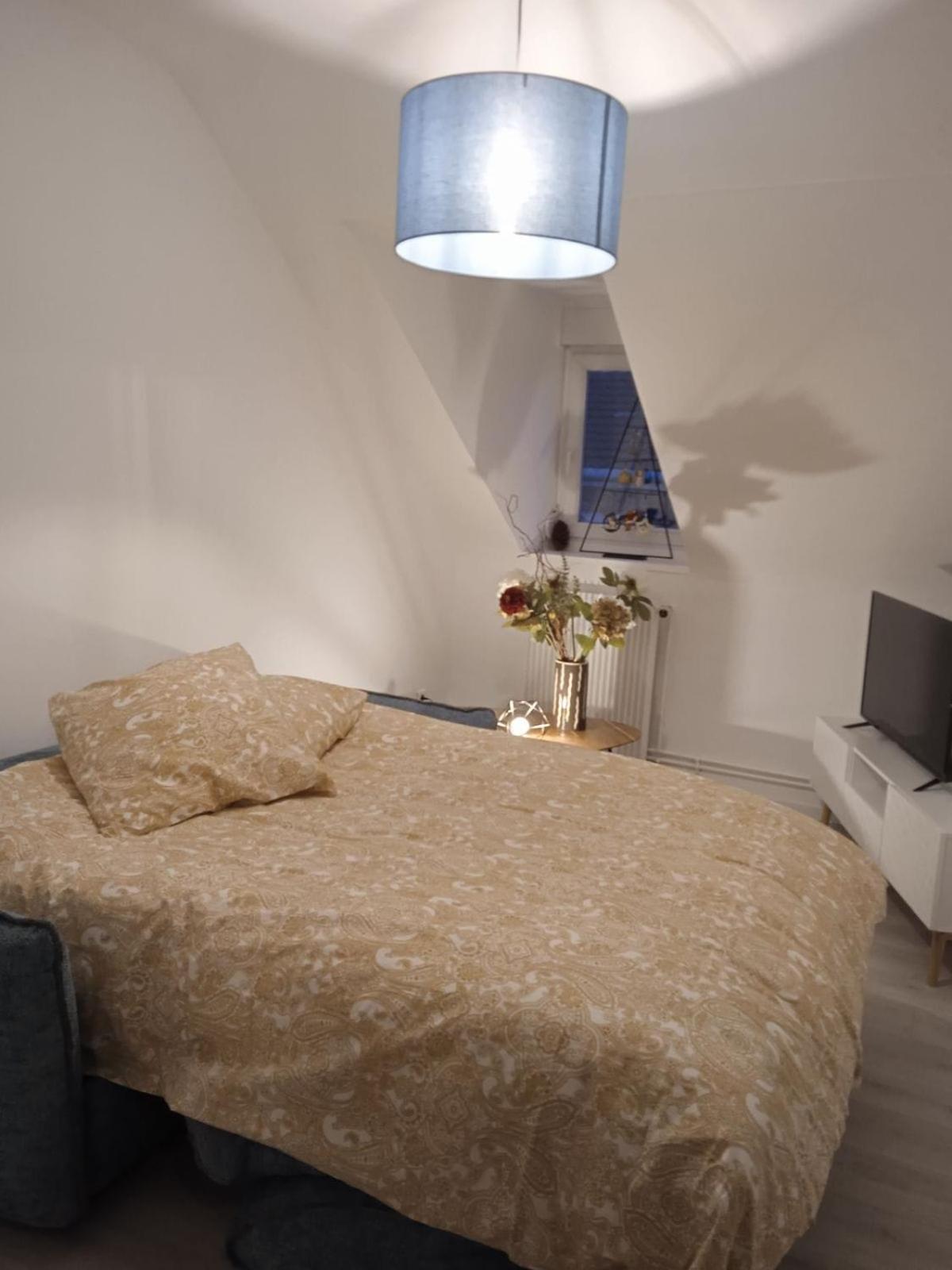 La Mulhousienne F3 Centre Ville Мюлуз Екстериор снимка